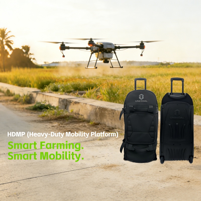 Large Capacity Trolley Luggage Bag Factory Direct Sale